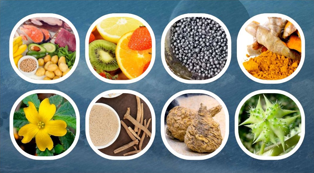 Pineal 10x is made with a carefully selected blend of natural ingredients.