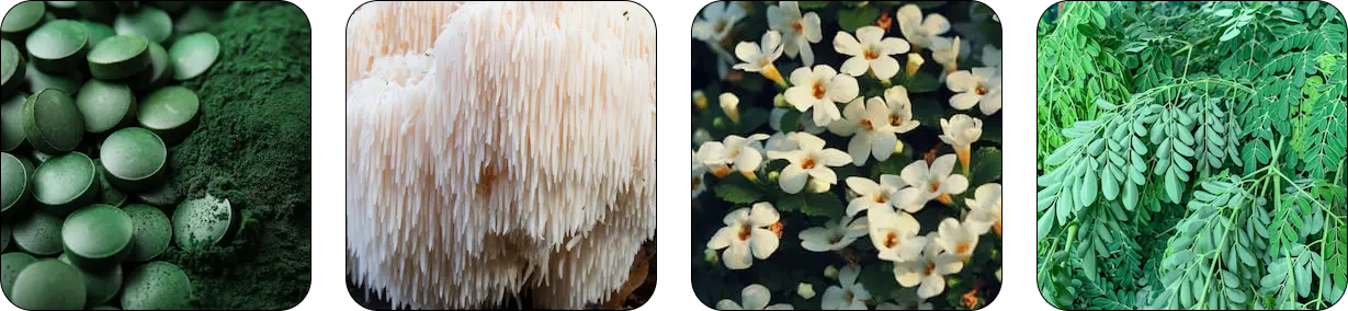 Pineal Guardian ingredient benefits